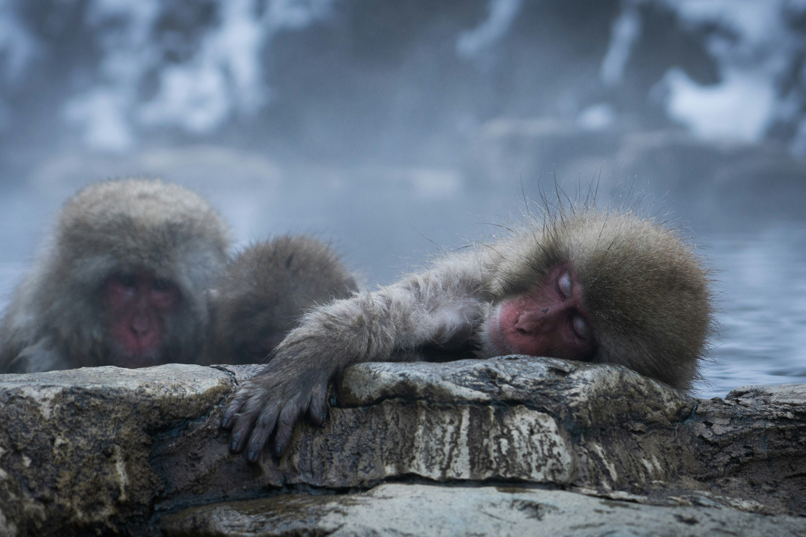 Untitled design 2025 10 13T165335.283