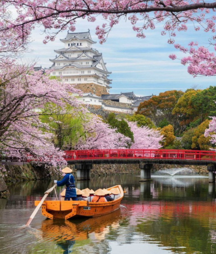 Untitled design 2025 10 17T132544.844