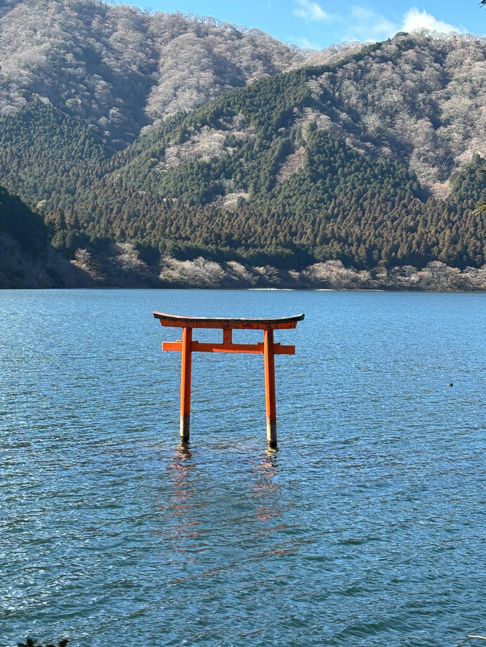 pexels yutaka yamamoto 1178616627 30979465 scaled