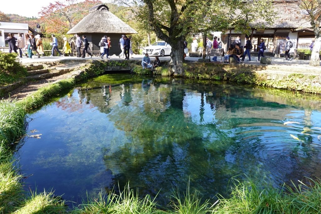 A spring-fed pond at Oshino Hakkai below Mount Fuji