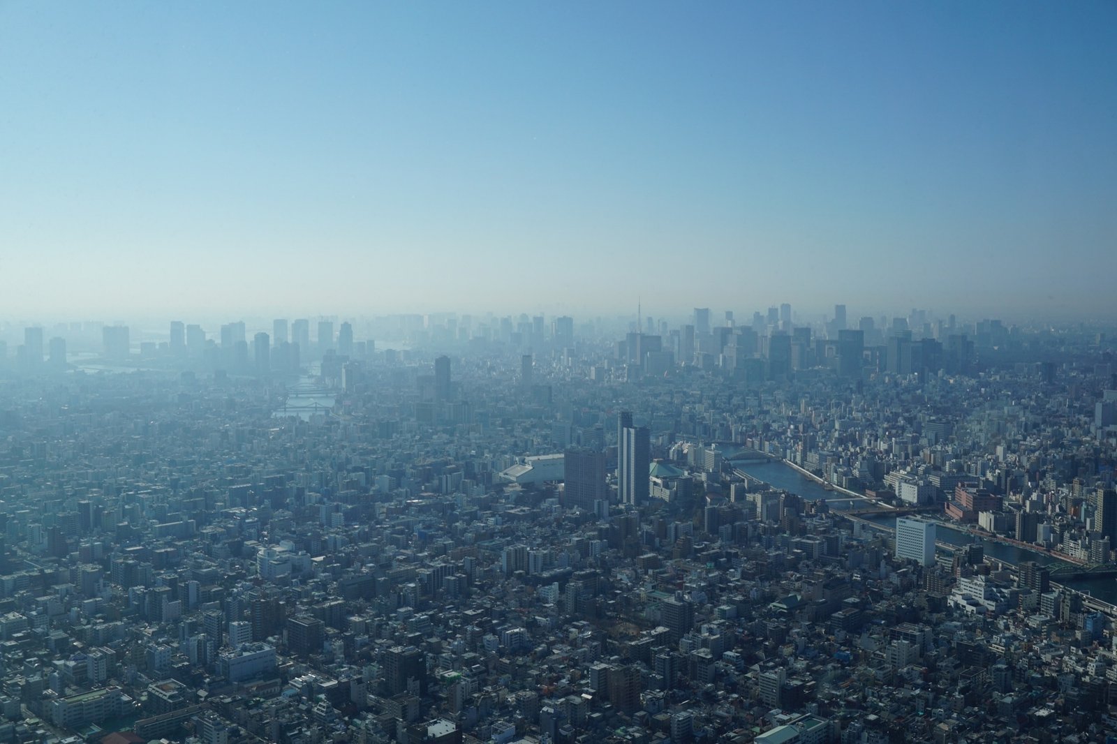 The Tokyo cityscape stretching to the horizon